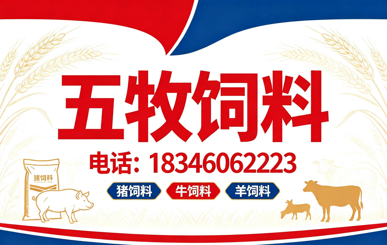 五牧黑河线上分站